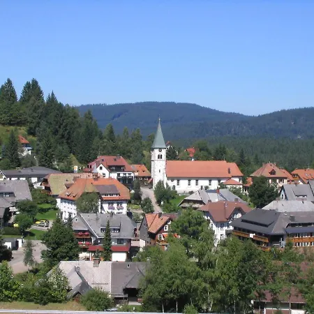 Mellex Feldberg (Baden-Wurttemberg)